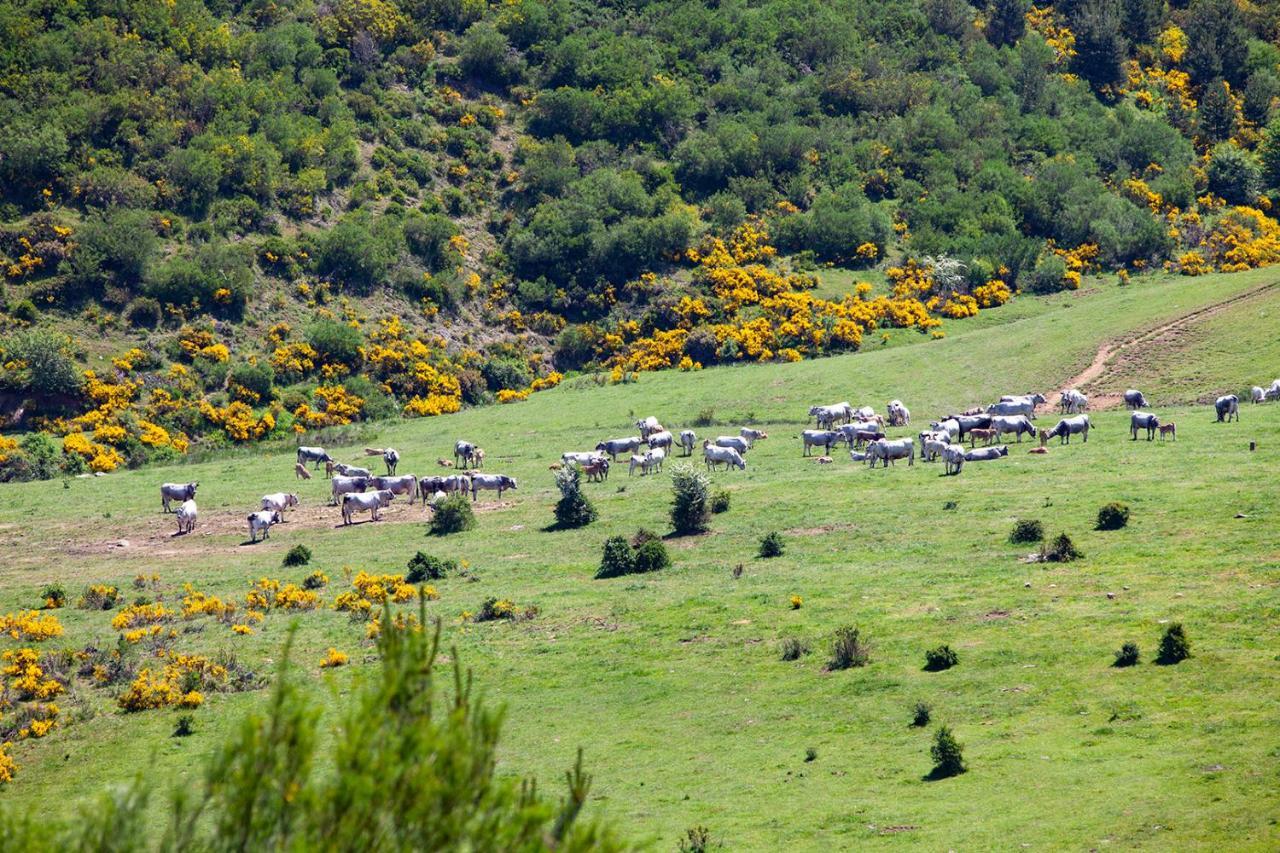 Casa Rural La Majada De Penacorada Fuentes de Peñacorada Esterno foto