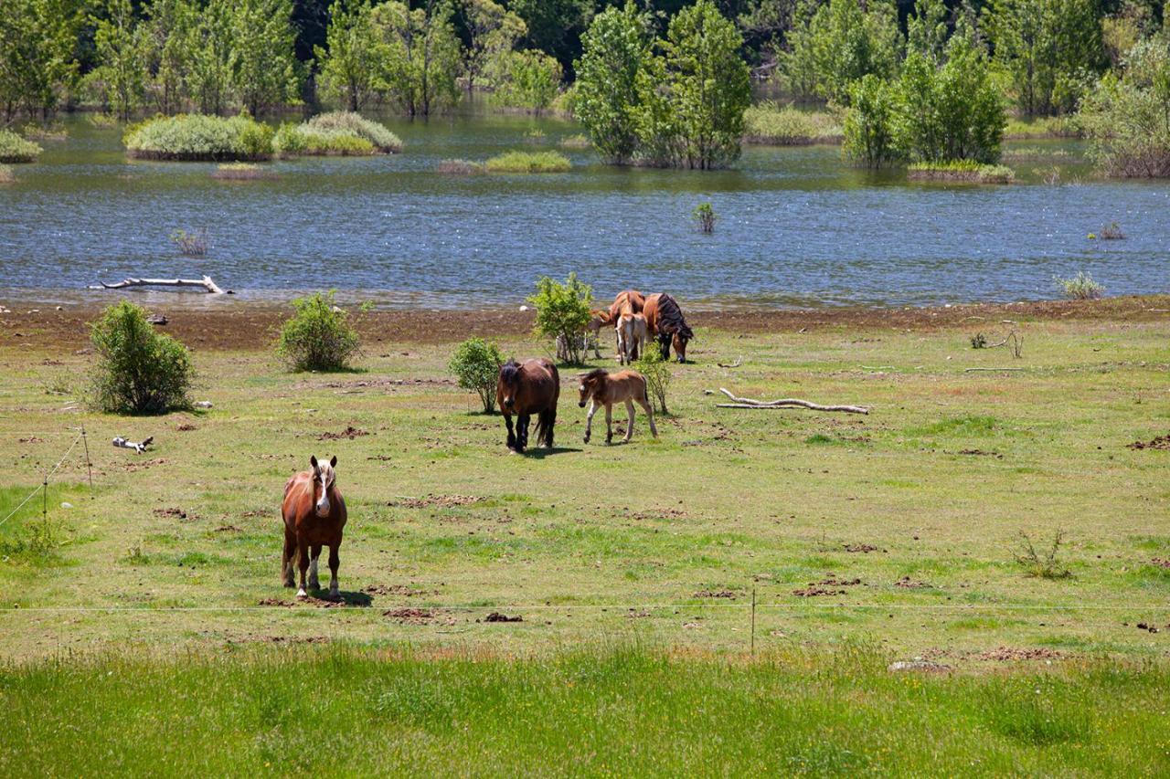 Casa Rural La Majada De Penacorada Fuentes de Peñacorada Esterno foto